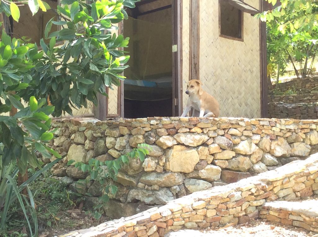 Хостел Busuanga Backpackers Concepcion  Экстерьер фото