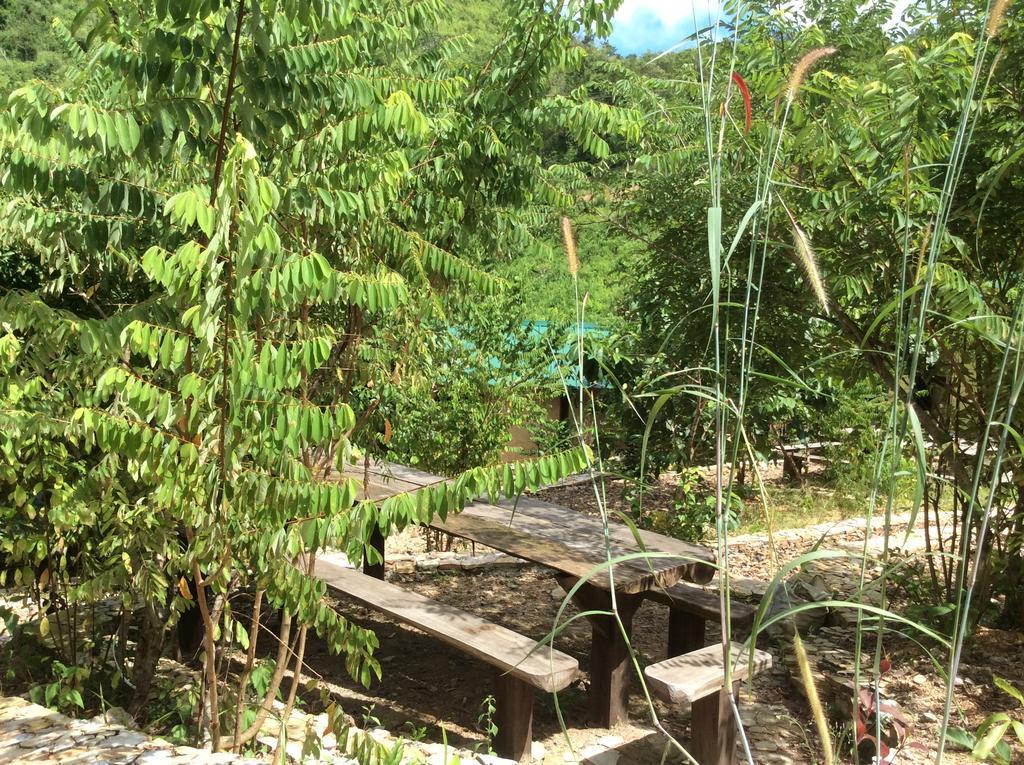 Хостел Busuanga Backpackers Concepcion  Экстерьер фото