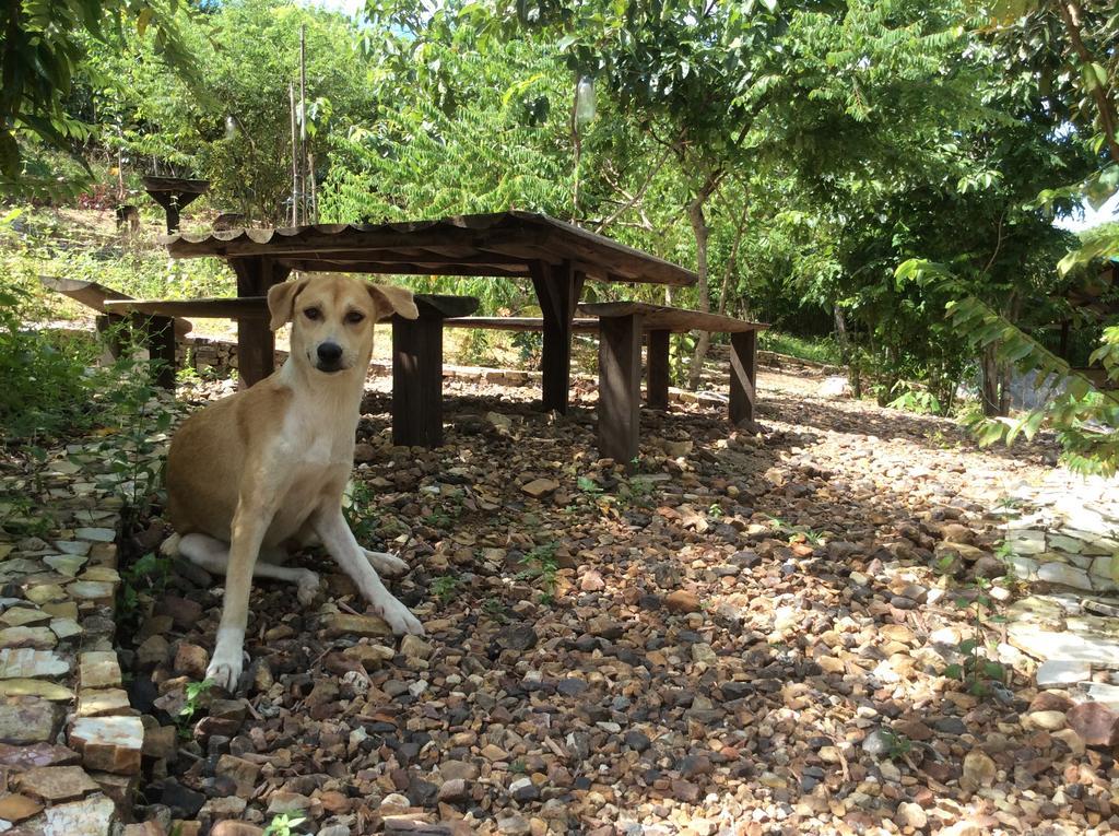 Хостел Busuanga Backpackers Concepcion  Экстерьер фото