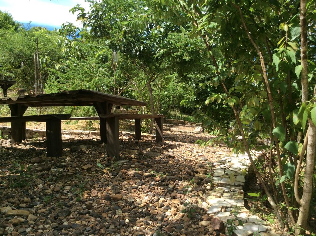 Хостел Busuanga Backpackers Concepcion  Экстерьер фото