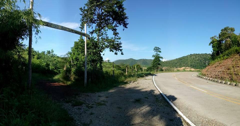 Хостел Busuanga Backpackers Concepcion  Экстерьер фото