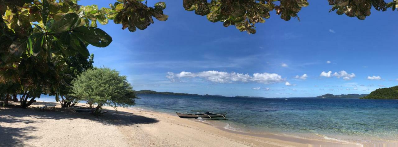 Хостел Busuanga Backpackers Concepcion  Экстерьер фото